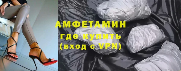сатива Богданович
