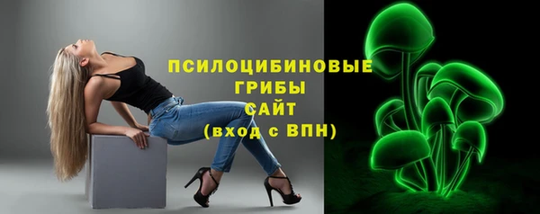 сатива Богданович