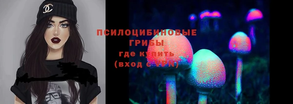 сатива Богданович