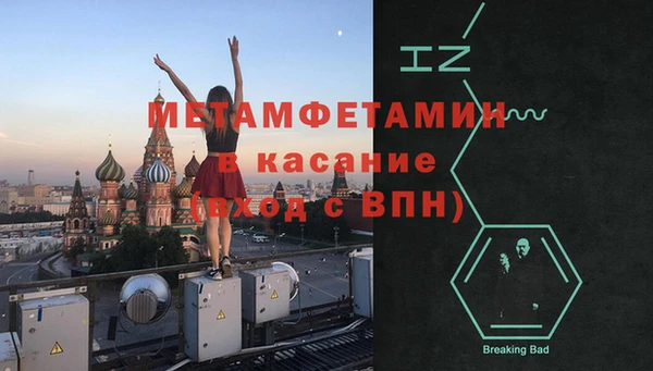 сатива Богданович