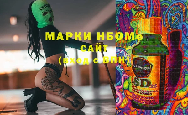 хмурый Богородицк