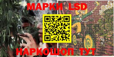 Альфа ПВП Малгобек