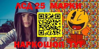 Альфа ПВП Малгобек