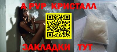 Альфа ПВП Малгобек