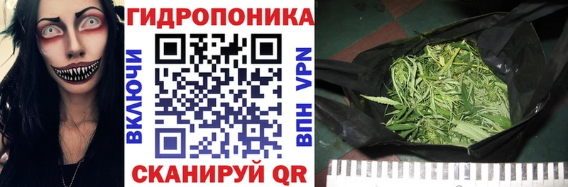 Бошки марихуана гибрид кракен вход Великие Луки